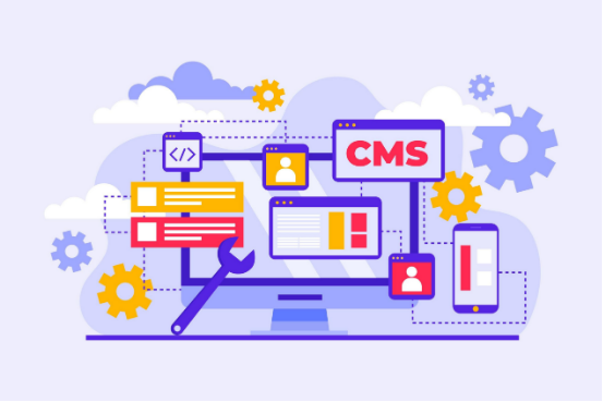 Elevate Your Brand: Tailored Web Development Services