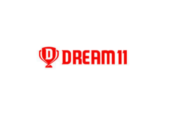 Dream 11 Logo Boost- A Social Media Influencer Campaign